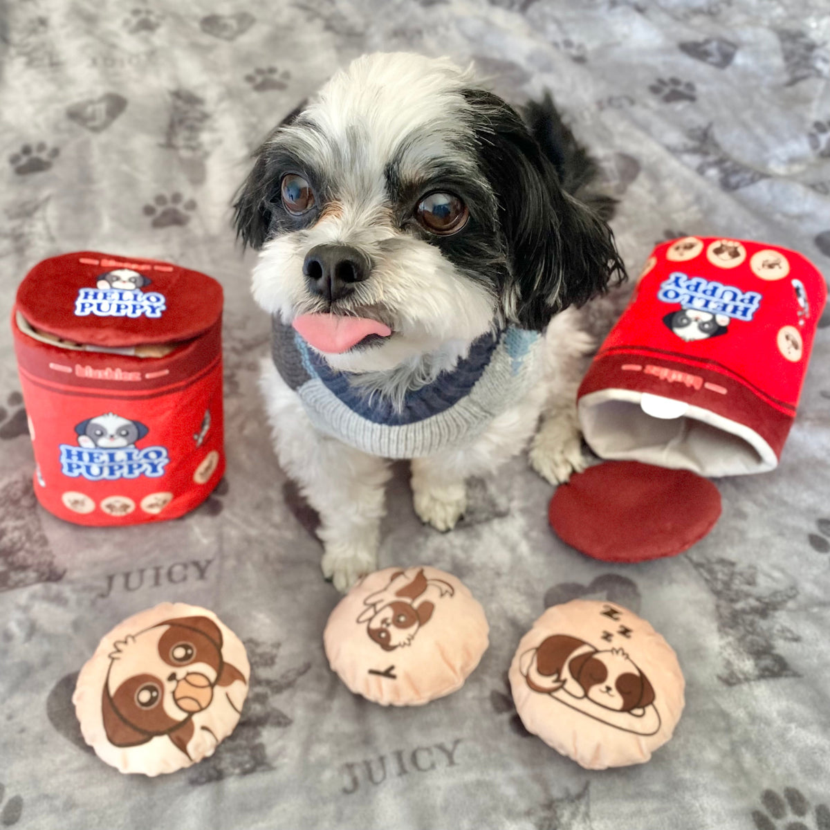 Blushiez Hello Puppy Dog Toy Set 4 Piece Biscuit Box – photo 6 of 9