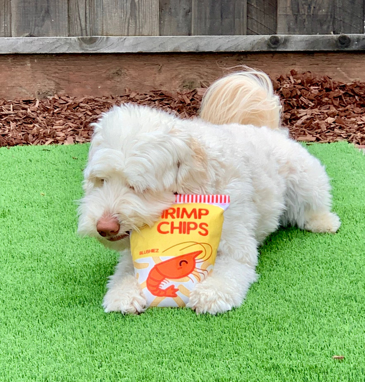 Blushiez Shrimp Chips Dog Toy 2 Piece – photo 6 of 7