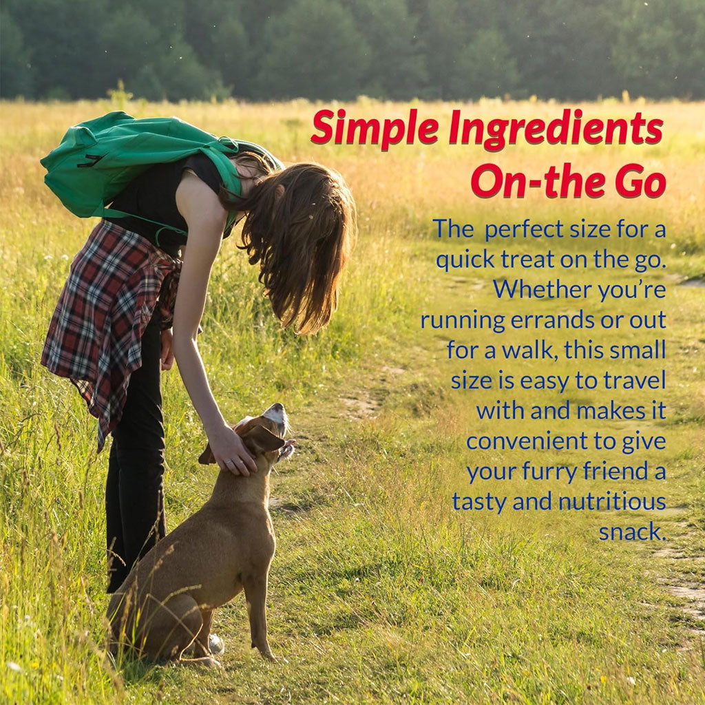 Inaba Churu Meal Topper Chicken Recipe Dog Food – photo 6 of 7