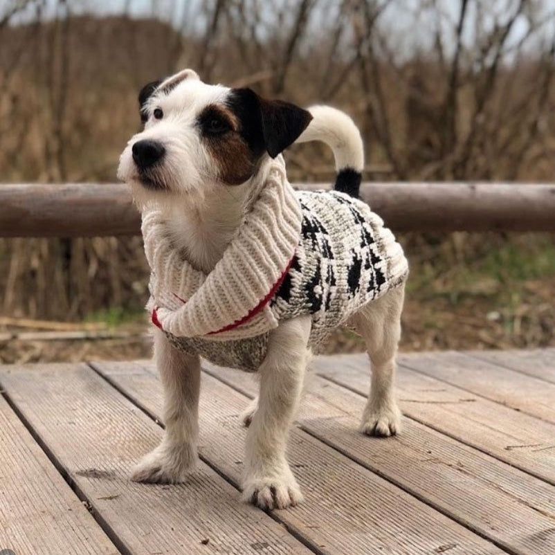 Jackson Dog Sweater Shawl Collar in Grey Black and White – photo 5 of 9