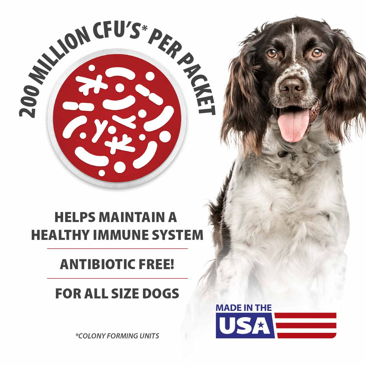 Jeffers Belly Buddy probiotic supplement packets for dogs – photo 5 of 8
