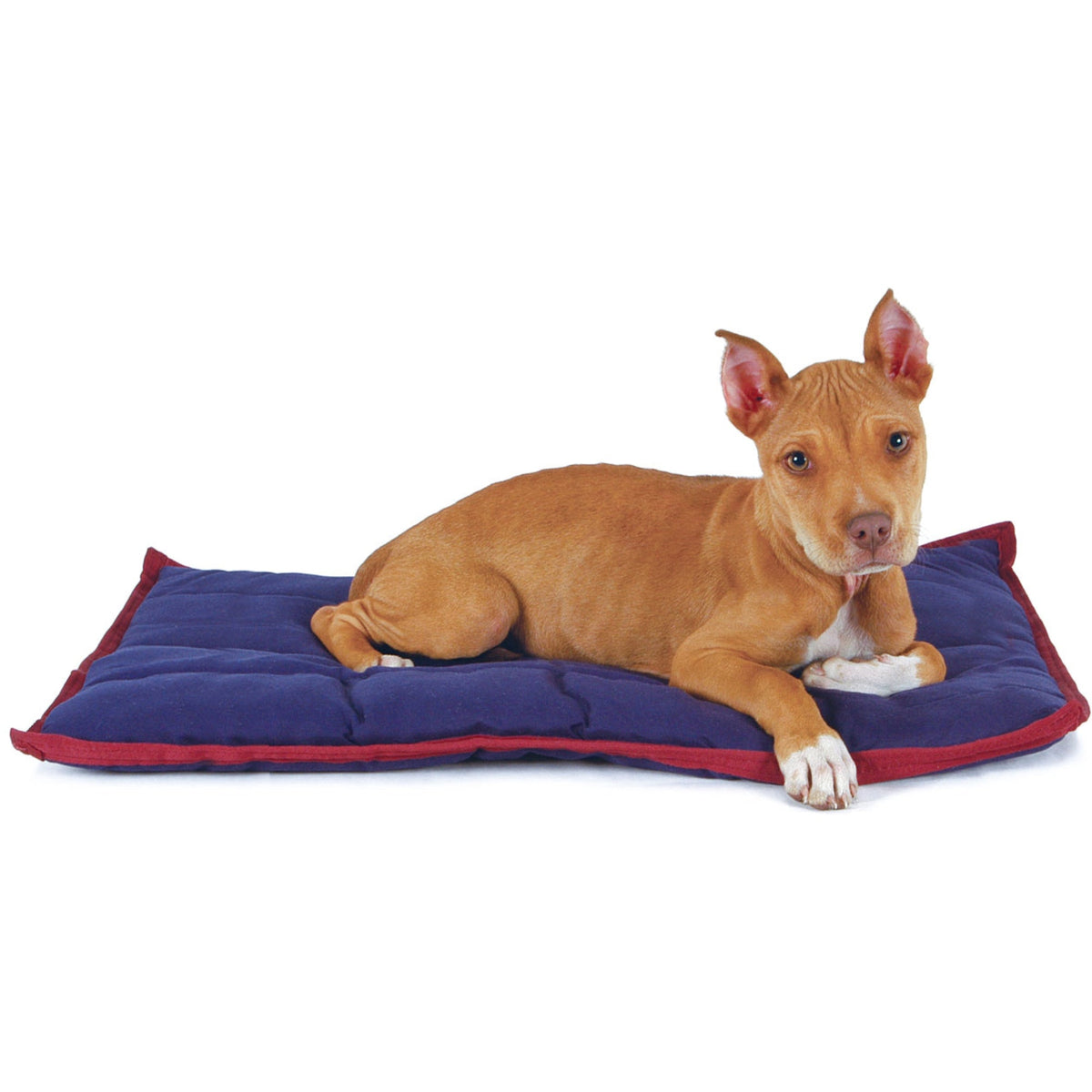 Jeffers Comfort washable dog pillow bed with wine-colored trim