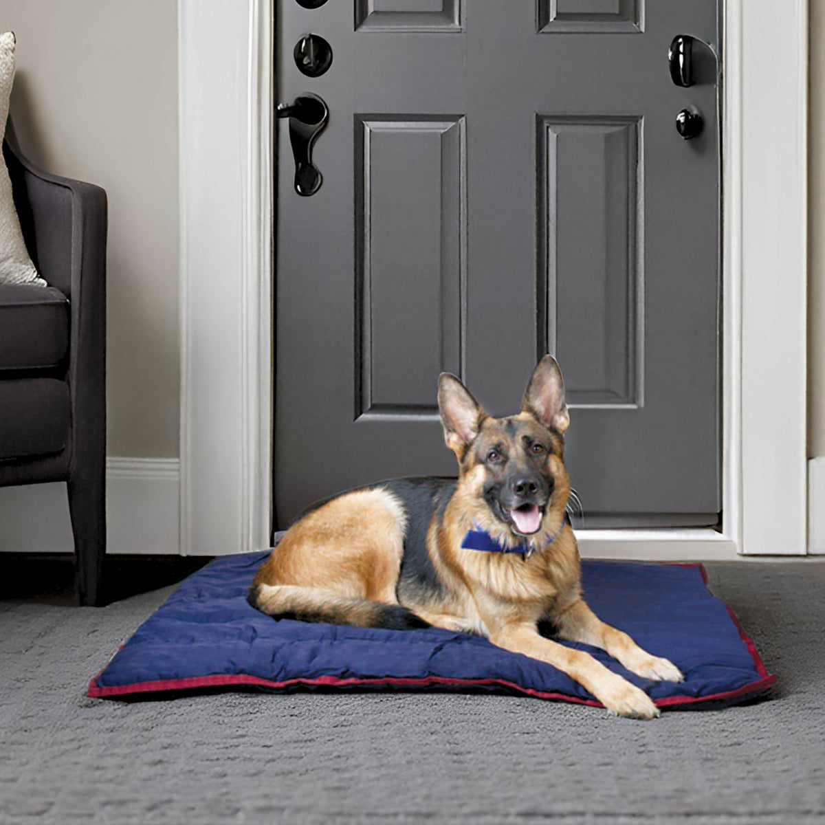 Soft poly-fill dog pillow for crates, carriers and lounging