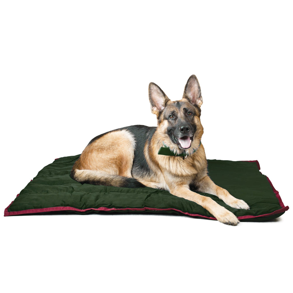 Jeffers dog pillow bed in a cozy home setting