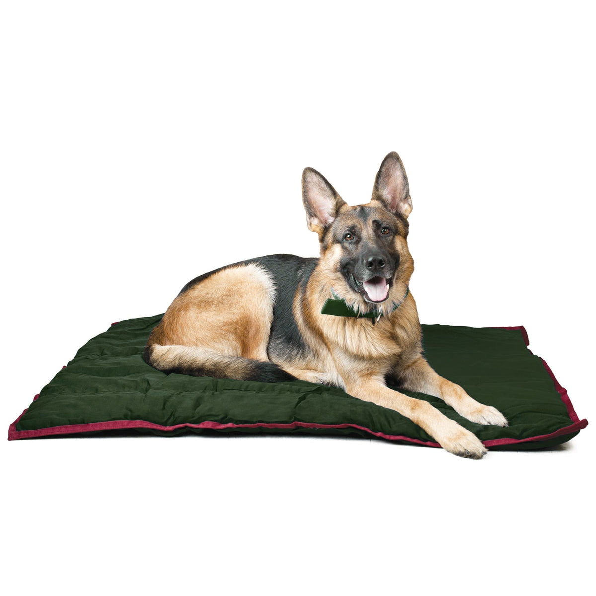 Jeffers dog pillow bed in a cozy home setting