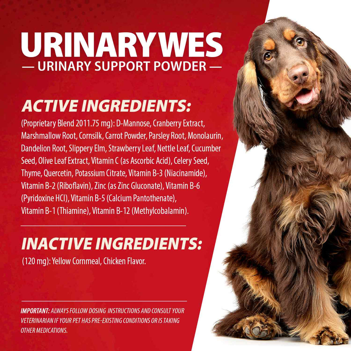 Jeffers UrinaryWes urinary support powder with D-Mannose and cranberry – photo 7 of 12