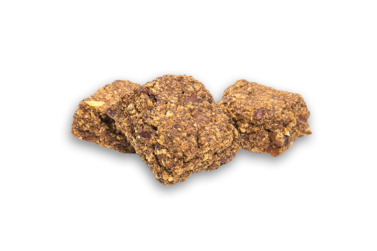 DogStar Liver Treats – detail
