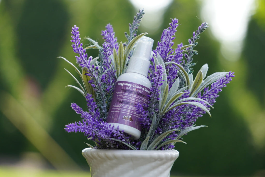 HuggleHug Lavender Bone  2oz Calming Spray Dog Toy Set, close-up
