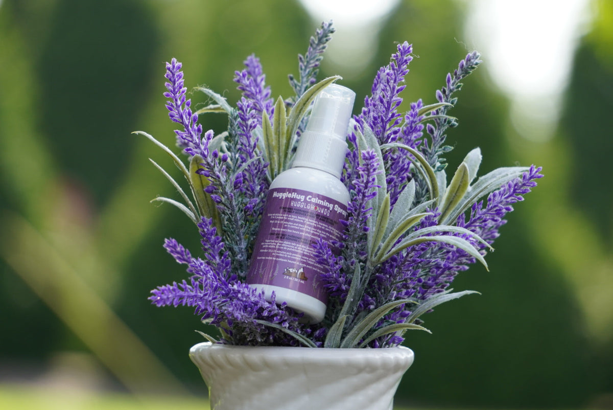 HuggleHug Lavender Bone  2oz Calming Spray Dog Toy Set, close-up