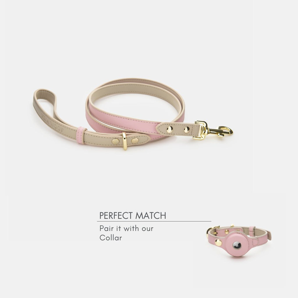 Leash 4ft Vegan Leather Cupertino