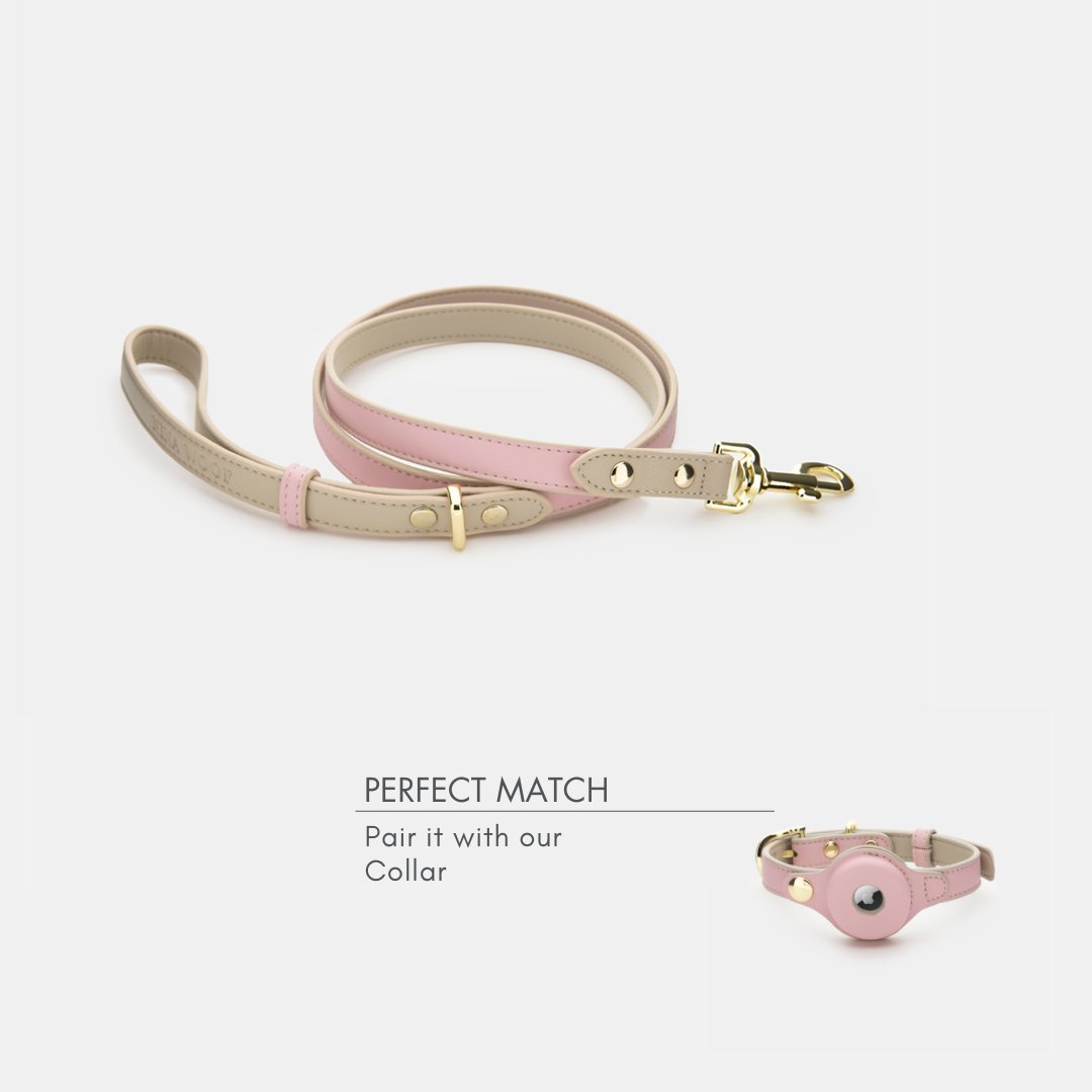 Leash 4ft Vegan Leather Cupertino