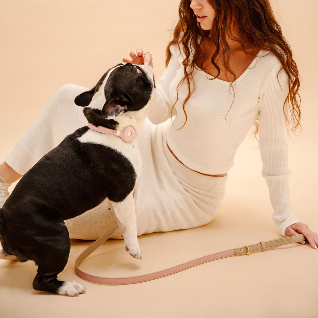 Leash 4ft Vegan Leather Cupertino