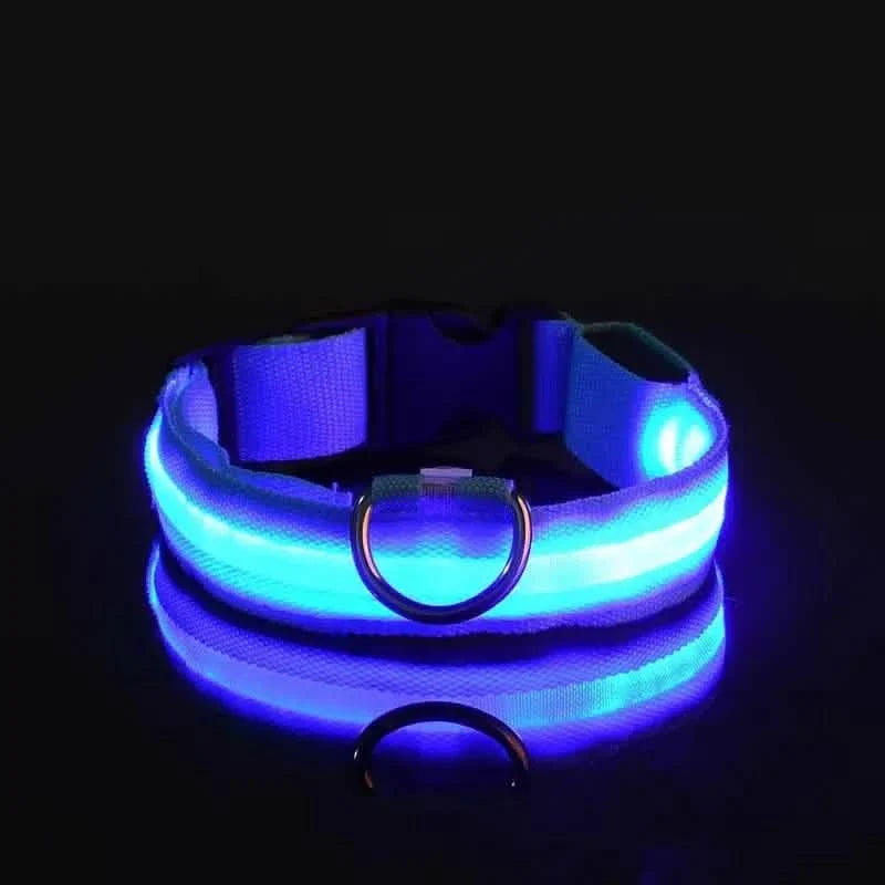 LED Dog Collar Adjustable Flashing Light-Up Collar – photo 7 of 13