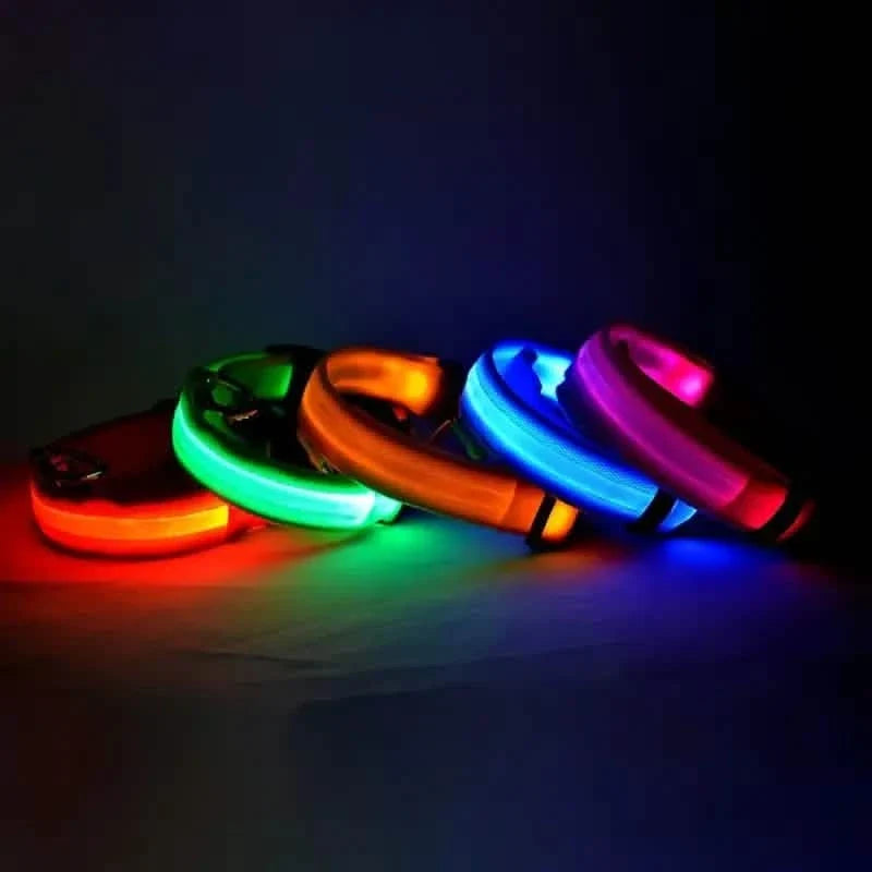 LED Dog Collar Adjustable Flashing Light-Up Collar – photo 9 of 13