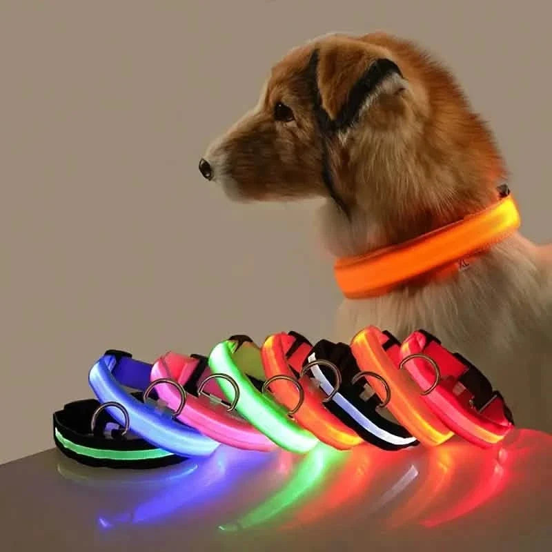 LED Dog Collar Adjustable Flashing Light-Up Collar – photo 1 of 13