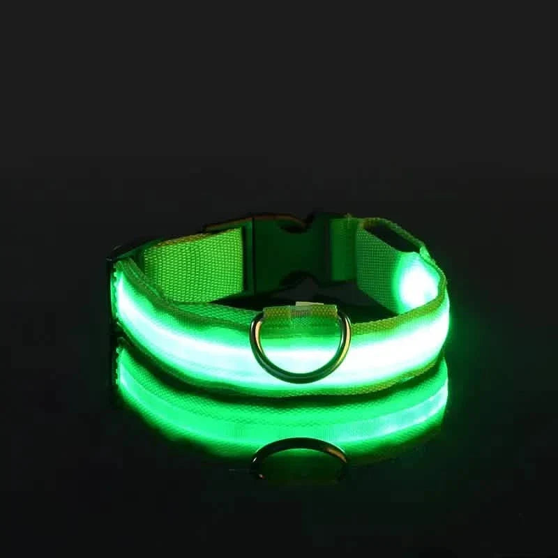LED Dog Collar Adjustable Flashing Light-Up Collar – photo 8 of 13