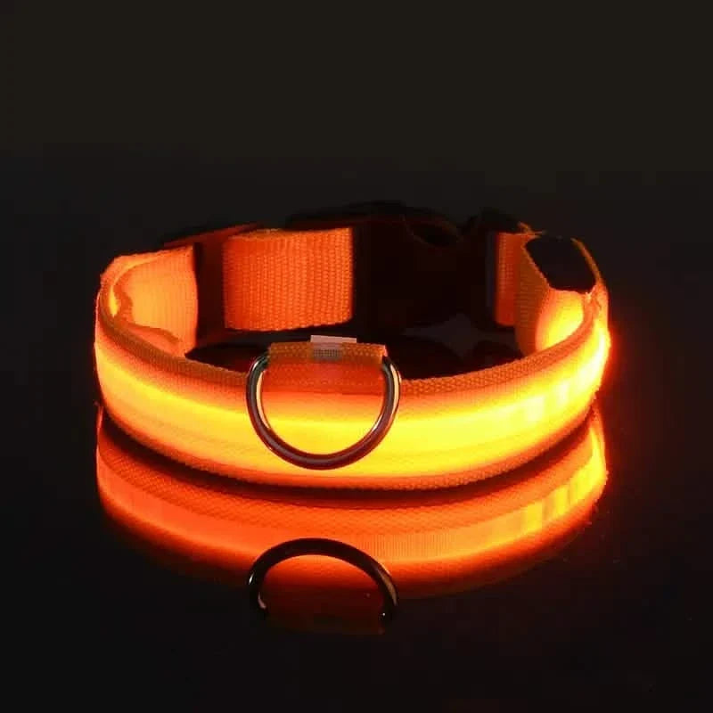 LED Dog Collar Adjustable Flashing Light-Up Collar – photo 3 of 13
