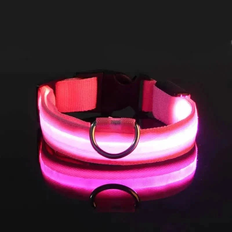 LED Dog Collar Adjustable Flashing Light-Up Collar – photo 4 of 13