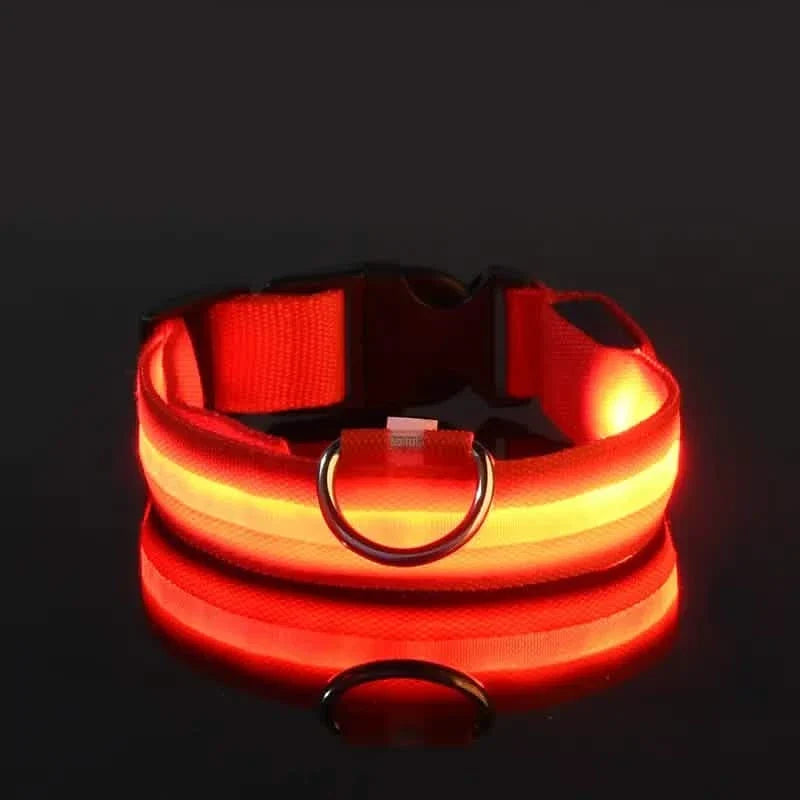 LED Dog Collar Adjustable Flashing Light-Up Collar – photo 5 of 13