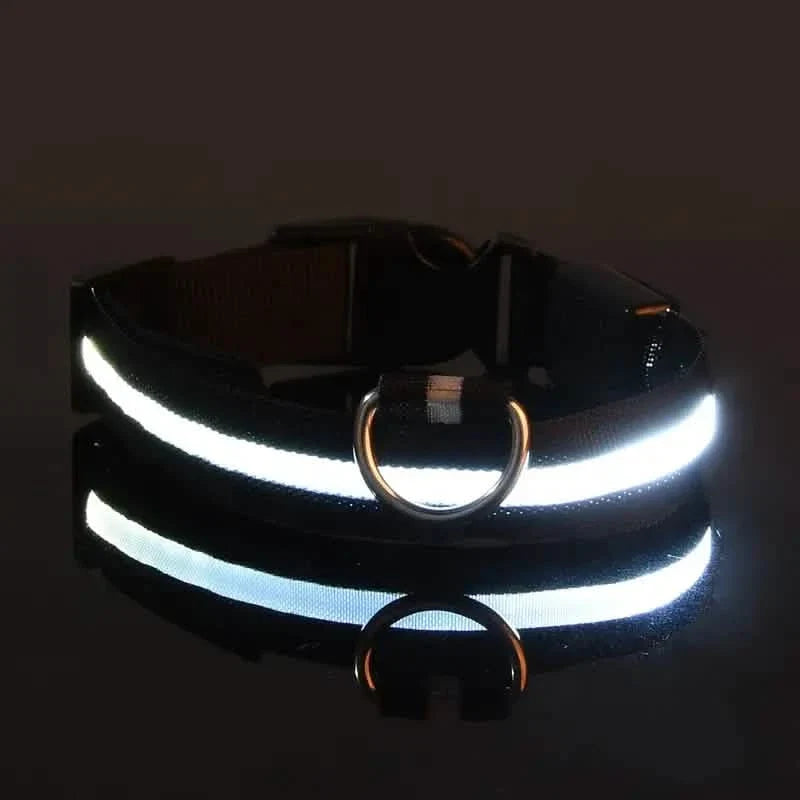 LED Dog Collar Adjustable Flashing Light-Up Collar – photo 2 of 13