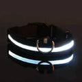 LED Dog Collar Adjustable Flashing Light-Up Collar – photo 2 of 13