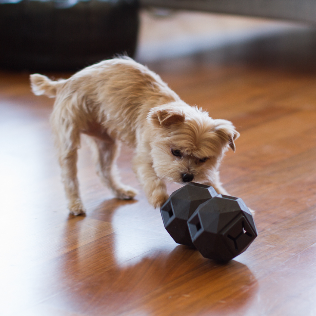 Odin Treat Dispensing Dog Toy – alternate view 5