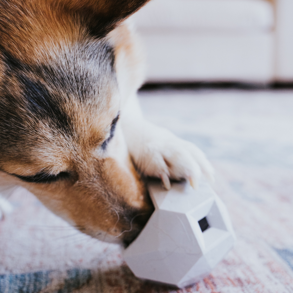 Odin Treat Dispensing Dog Toy – alternate view 4