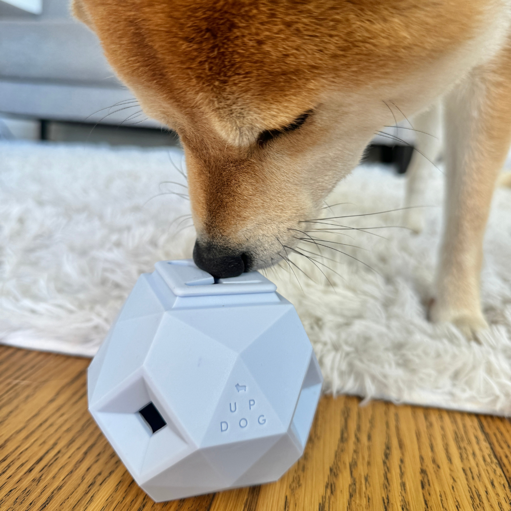 Odin Treat Dispensing Dog Toy – alternate view 10