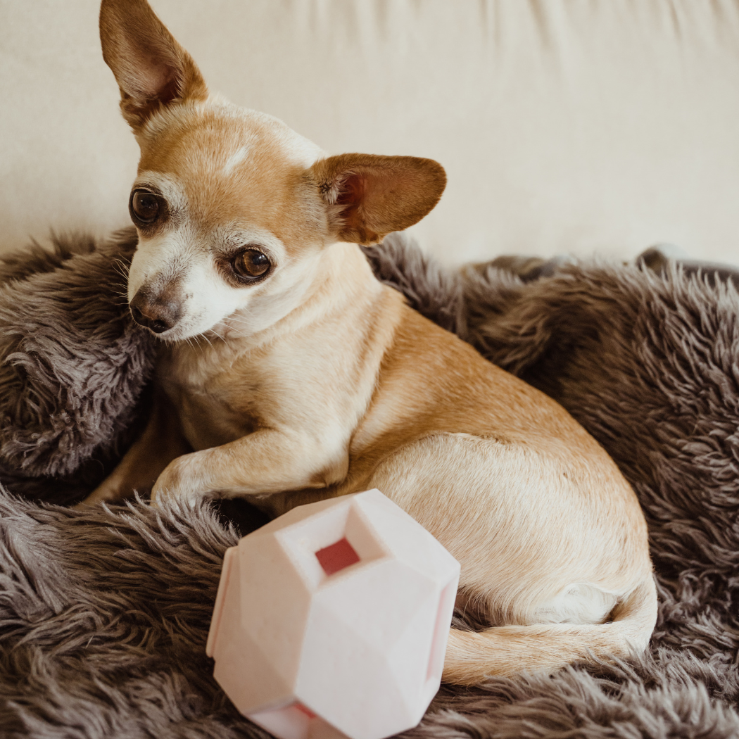 Odin Treat Dispensing Dog Toy – alternate view 12