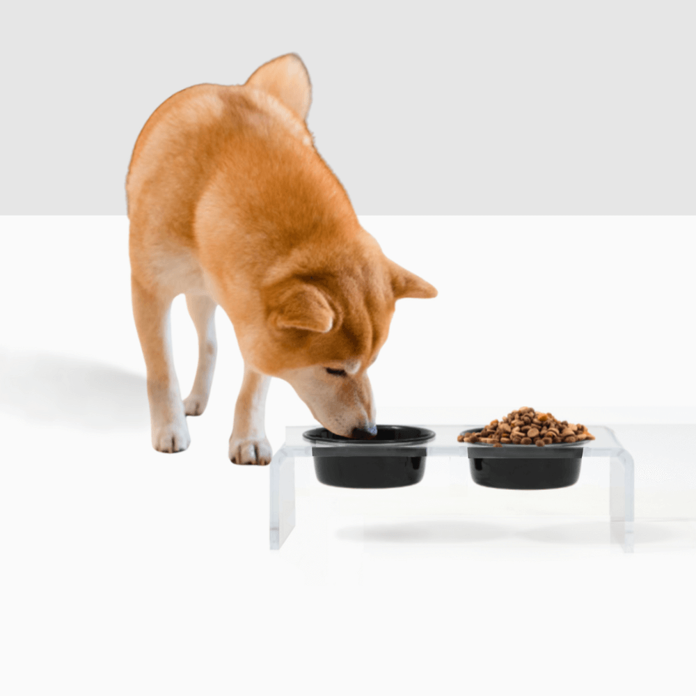Hiddin Small Acrylic Feeder with Stainless Steel Bowls – 1.5 or 3.5 Cup – alternate view 11