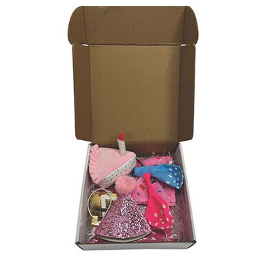 M-Pets Party Time Pink Birthday Set for Female Dogs 20x20x7 cm – alternate view 2