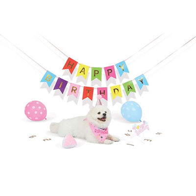M-Pets Party Time Pink Birthday Set for Female Dogs 20x20x7 cm – alternate view 3