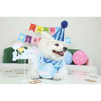 M-Pets Party Time Dog Birthday Set for Boys 20x20x7 cm – alternate view 3