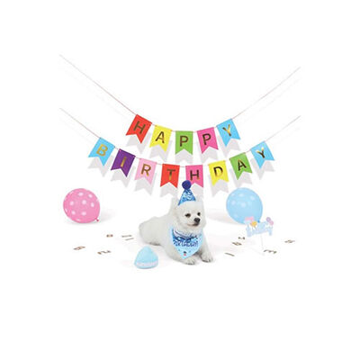 M-Pets Party Time Dog Birthday Set for Boys 20x20x7 cm – alternate view 4