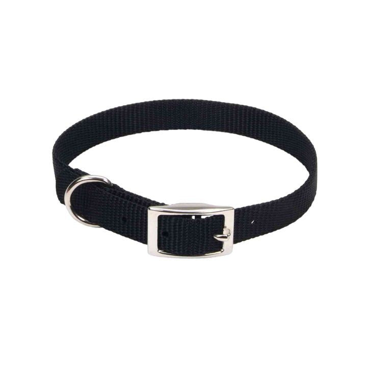 Dog Coastal Pet Single Nylon Dog Collar, alternate view