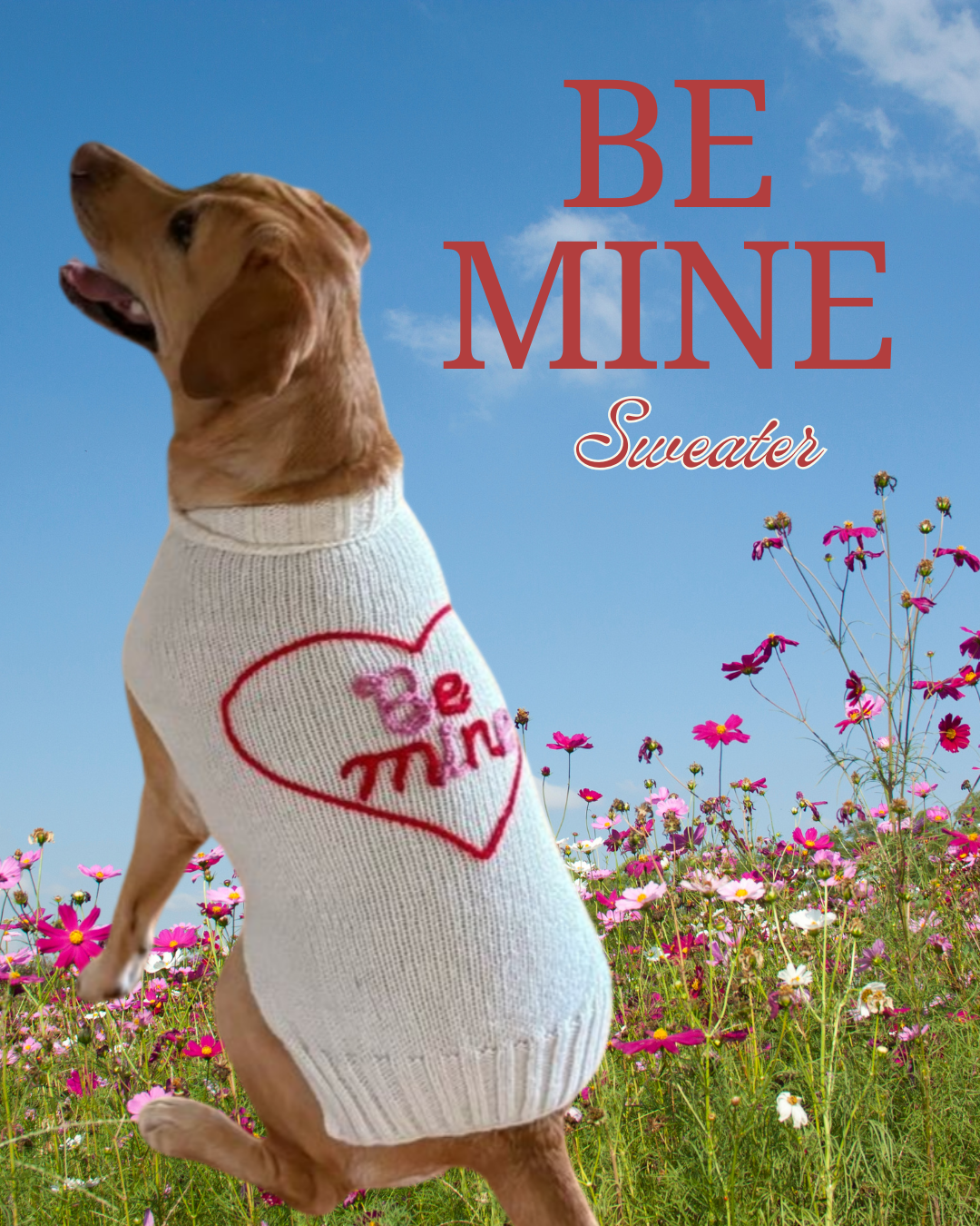 Be Mine Dog Sweater 3D Heart and Lettering – photo 3 of 4