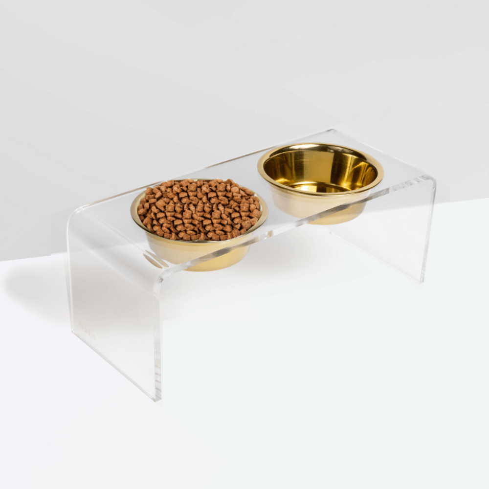 Hiddin Medium Gold Lucite Feeder – Elevated Bowls – alternate view 8