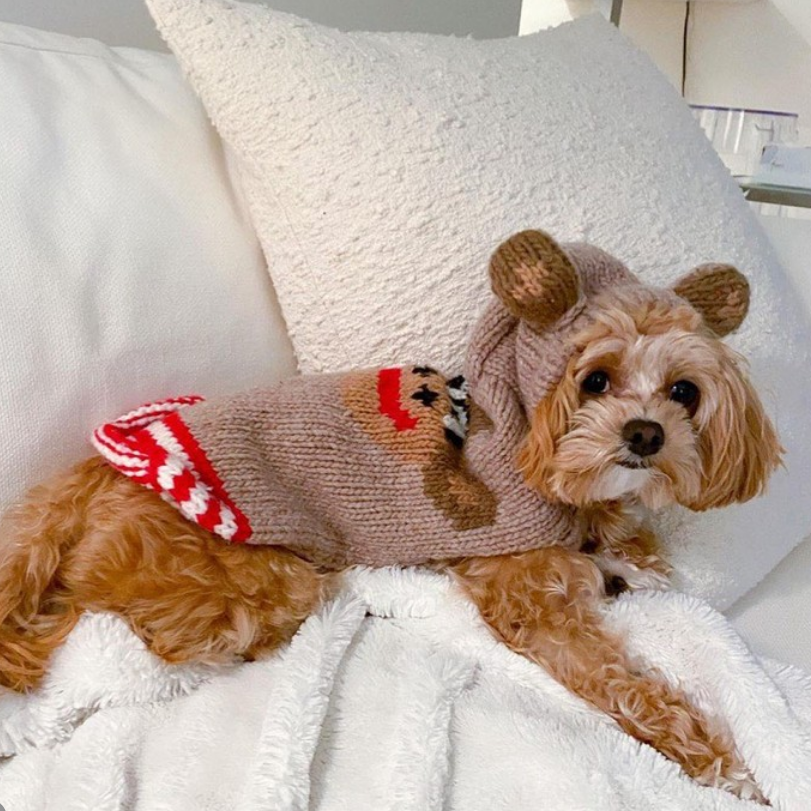 Monkey Hoodie Dog Sweater Sock Monkey Style – photo 5 of 6