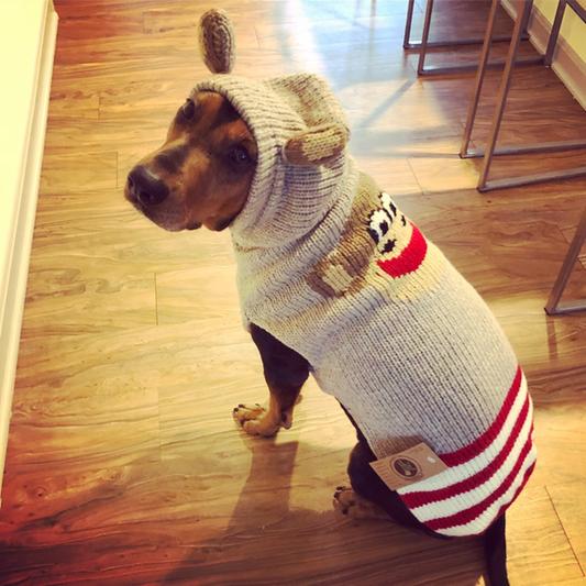 Monkey Hoodie Dog Sweater Sock Monkey Style – photo 6 of 6
