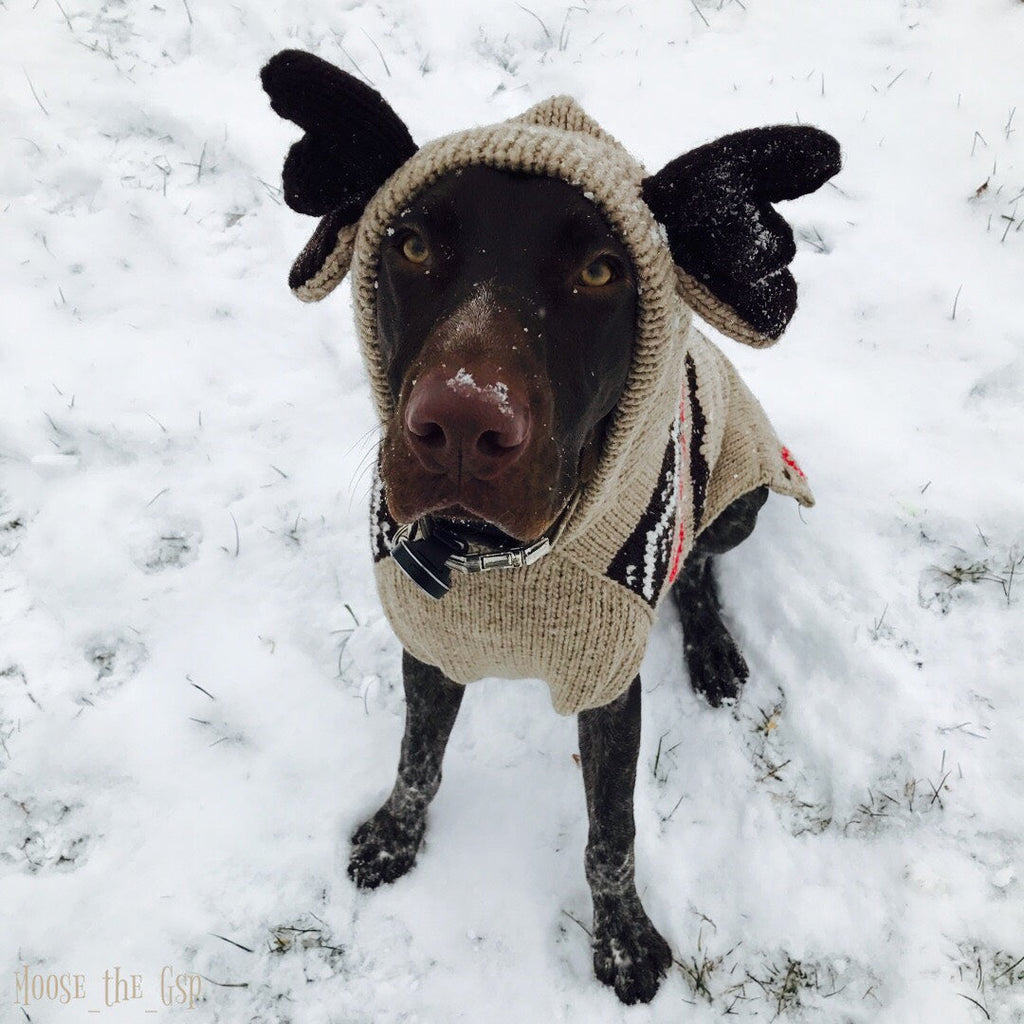 Moosey Hoodie Dog Sweater Moose Design – photo 4 of 6