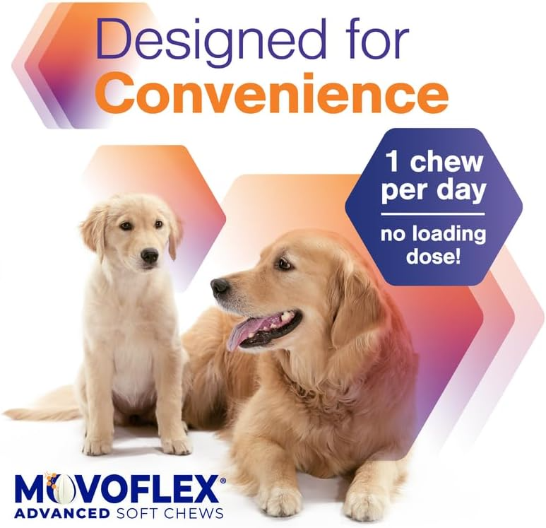 MovoFlex Advanced Joint Support Soft Chews Large Dogs – photo 8 of 9