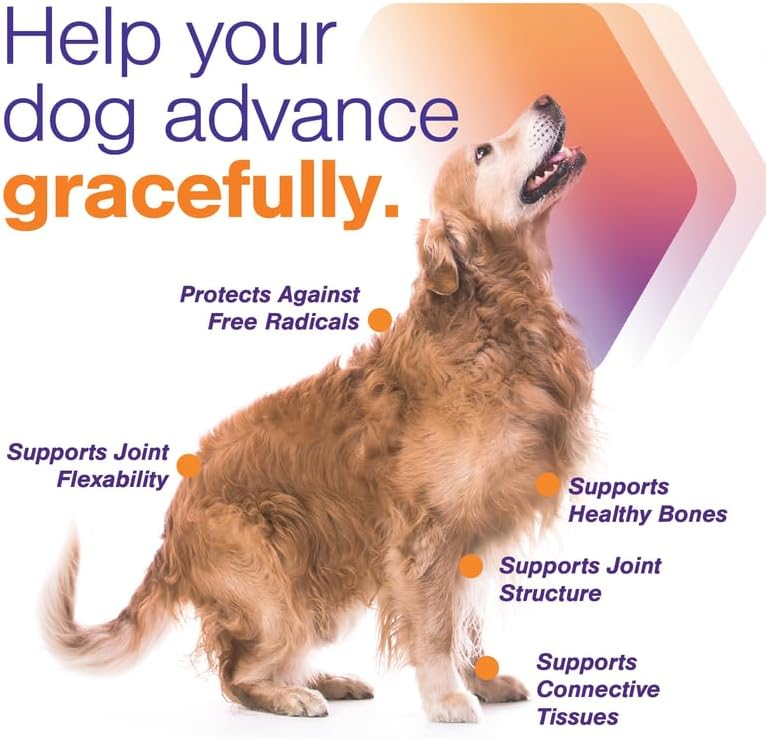 MovoFlex Advanced Joint Support Soft Chews Large Dogs – photo 4 of 9
