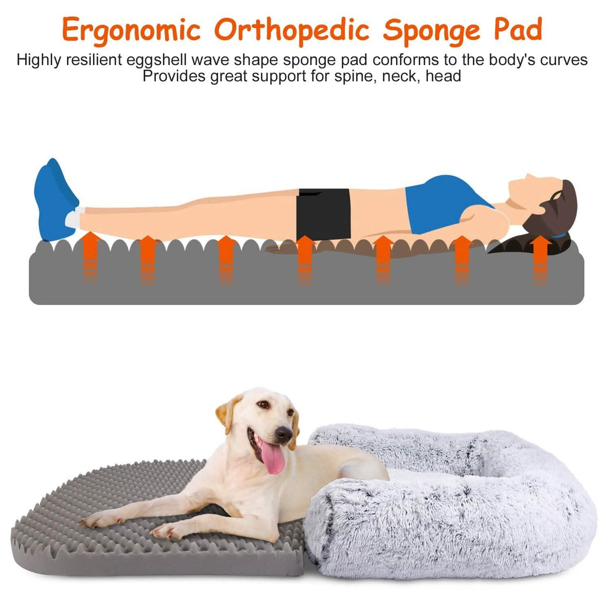 Human-Sized Dog Bed Napping Bed with Washable Zipped Cover – photo 6 of 13