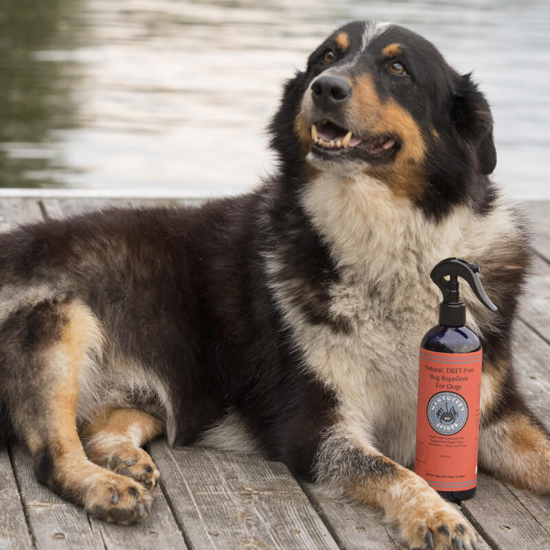 Bug Repellent Spray for Dogs – alternate view 2
