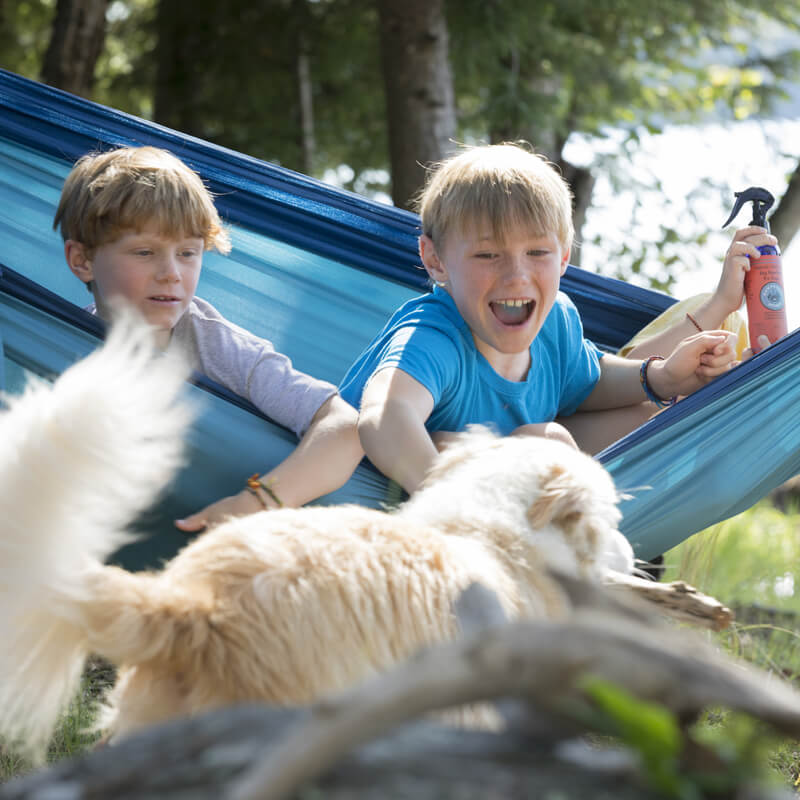 Bug Repellent Spray for Dogs – alternate view 3