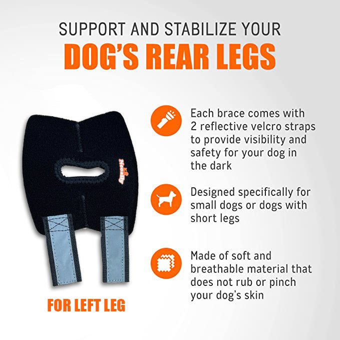 NeoAlly Dog Rear Leg Hock Brace with Safety Reflective Straps for Small Dogs [Short Version] – alternate view 10