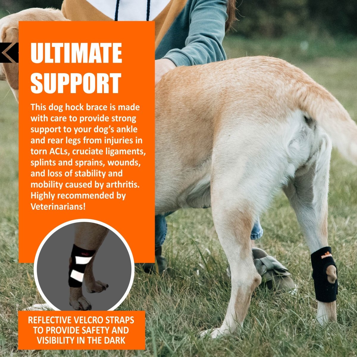 NeoAlly Dog Rear Leg Hock Brace with Safety Reflective Straps for Small Dogs [Short Version] – alternate view 9