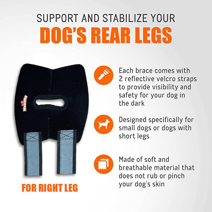 NeoAlly Dog Rear Leg Hock Brace with Safety Reflective Straps for Small Dogs [Short Version] – alternate view 11