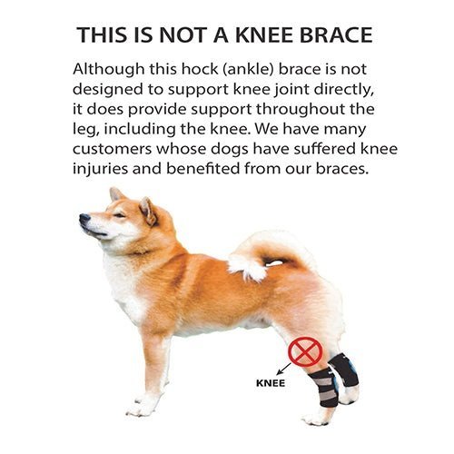 NeoAlly Dog Rear Leg Hock Brace with Safety Reflective Straps for Small Dogs [Short Version] – alternate view 5