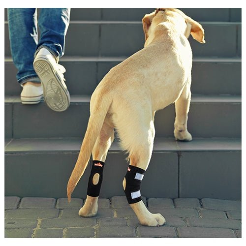 NeoAlly Dog Rear Leg Hock Brace with Safety Reflective Straps for Small Dogs [Short Version] – alternate view 6